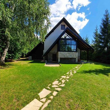 Villa Planinska Kuca Sa Dvoristem Zlatibor Exterior foto