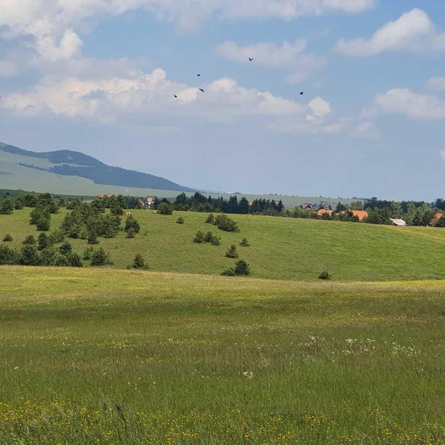 Villa Planinska Kuca Sa Dvoristem Zlatibor Exterior foto