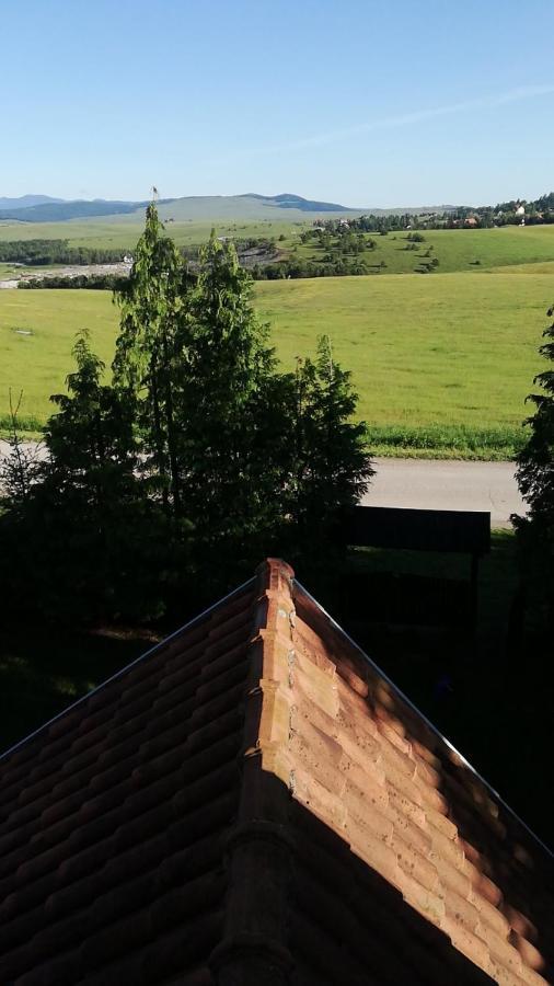 Villa Planinska Kuca Sa Dvoristem Zlatibor Exterior foto