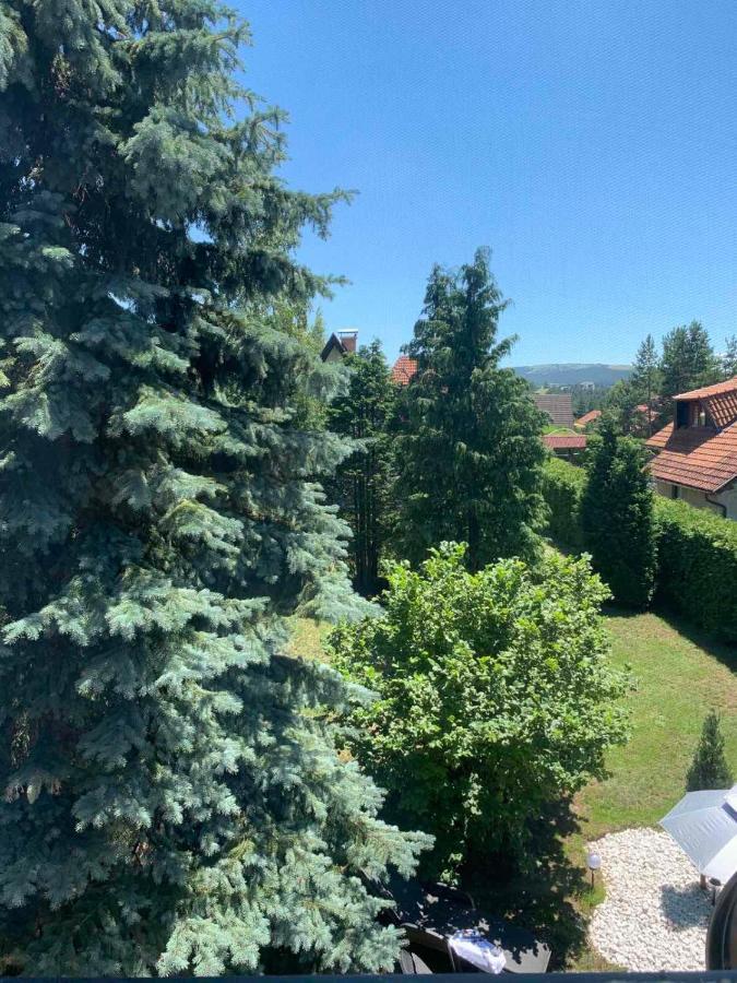 Villa Planinska Kuca Sa Dvoristem Zlatibor Exterior foto