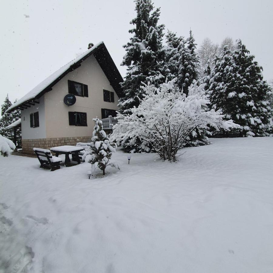 Villa Planinska Kuca Sa Dvoristem Zlatibor Exterior foto