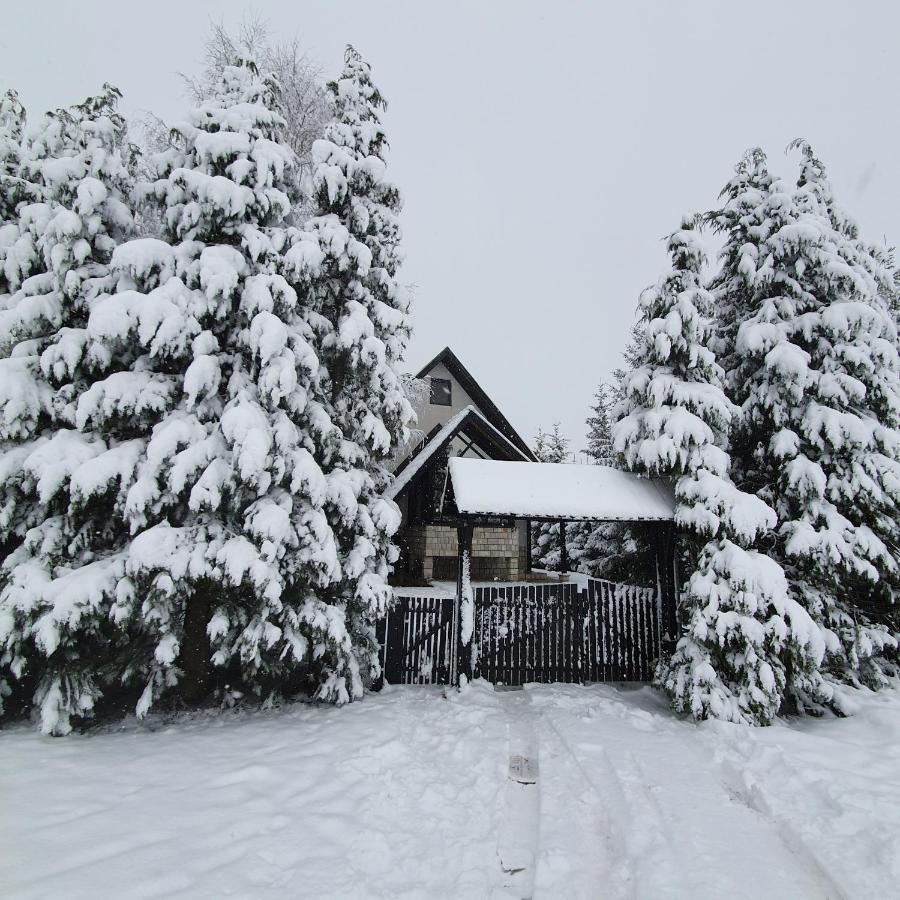 Villa Planinska Kuca Sa Dvoristem Zlatibor Exterior foto