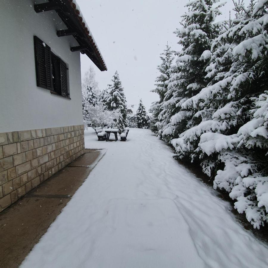 Villa Planinska Kuca Sa Dvoristem Zlatibor Exterior foto