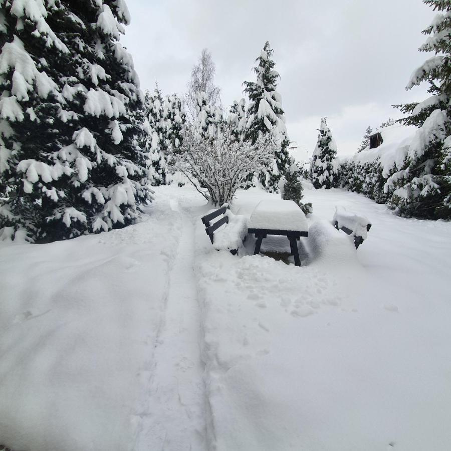 Villa Planinska Kuca Sa Dvoristem Zlatibor Exterior foto